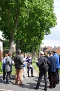 Looking at the 1930s trees of The Avenue, which replaced an older line of trees.