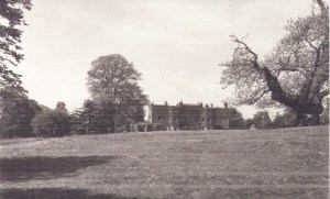 The sweet chestnut tree on the Blendon estate in the early 1900s